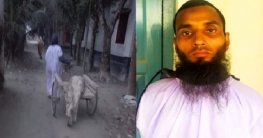 কবর থেকে লাশ তুলে চুরি, ১ব্যক্তি গ্রেফতার ! কবর থেকে লাশ তুলে চুরি, ১ব্যক্তি গ্রেফতার !