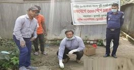 করোনায় পুষ্টি সংকট মোকাবিলায় ফুলছড়িতে পেঁপে চারা রোপন করোনায় পুষ্টি সংকট মোকাবিলায় ফুলছড়িতে পেঁপে চারা রোপন