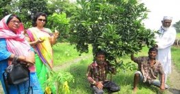 মাল্টা চাষে আবুল মুনসুরের সাফল্য!
