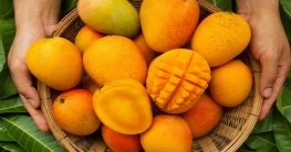 এক মাসেই ২৫ কোটি টাকার আম বিক্রি অনলাইনে!