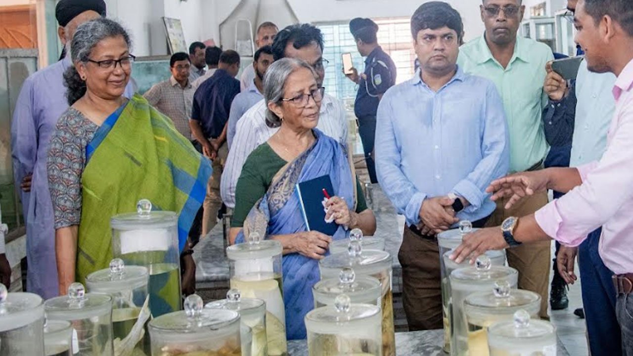 ছোটমাছের বিলুপ্তি ঠেকাতে বিএফআরআইকে সচেষ্ট থাকতে মৎস্য উপদেষ্টার নির্দেশ