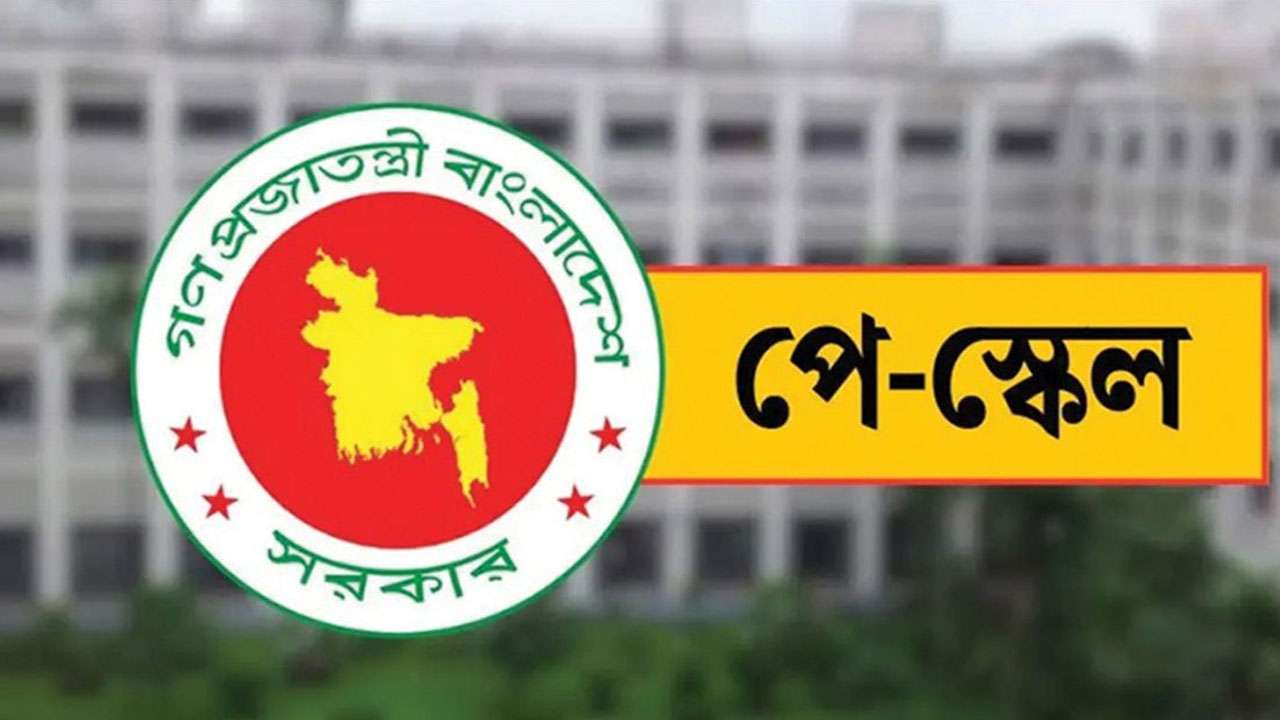 অক্টোবরের বেতনের সঙ্গে ৩ মাসের বকেয়া পাবেন সরকারি চাকরিজীবীরা, কাল থেকে শুরু হিসাব অক্টোবরের বেতনের সঙ্গে ৩ মাসের বকেয়া পাবেন সরকারি চাকরিজীবীরা, কাল থেকে শুরু হিসাব