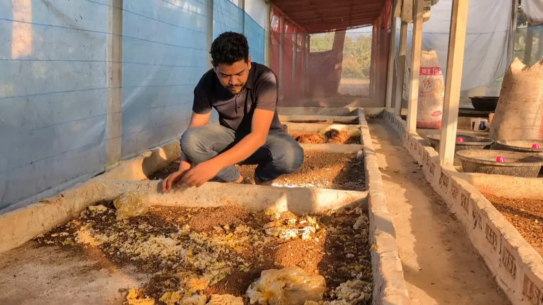 হাঁসের খামারের লোকসান ভুলে পোকা চাষে সাফল্য, মাসে আয় ২ লাখ হাঁসের খামারের লোকসান ভুলে পোকা চাষে সাফল্য, মাসে আয় ২ লাখ